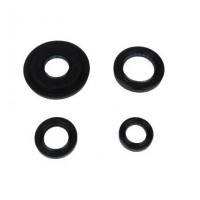 RKS SPONTİNİ 110 KEÇE SETİ JOLT