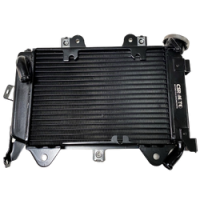 BAJAJ PULSAR NS200 RADYATÖR KOMPLE Ö Y