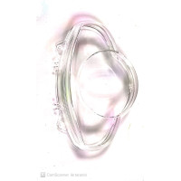 RİTMİCA 100 (SCT) GÖSTERGE PANELİ CAMI MONDİAL ORJİNAL