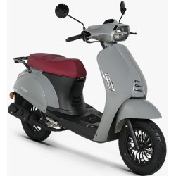 BLUEBİRD 50
