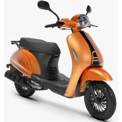 BLUEBERRY 50 CC