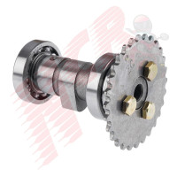 EKSANTRİK MİLİ RAMZEY/KARACA100