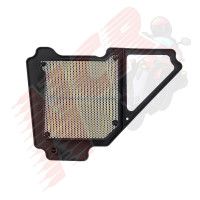 HAVA FİLTRESİ YENİ MODEL YBR 125