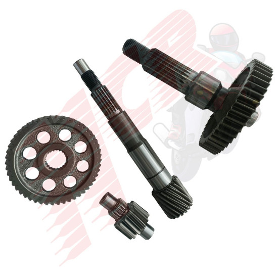 ŞANZIMAN KOMPLE DIO 110