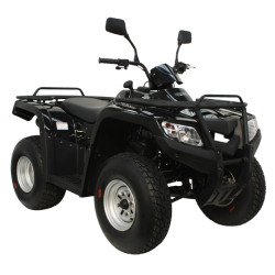 ATV TERRALANDER 200