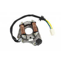 NCR CUP 100 LİFAN KANUNİ ZEBRA STATÖR 2`li kod-24012