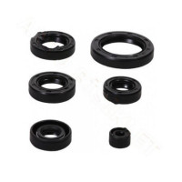 RMG CUP 100 YAĞ KEÇESİ SETİ