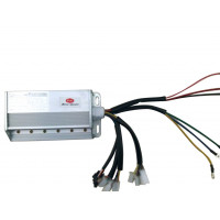 RMG CDI BEYİN 72 35A 60 DERECE RAİNBOW-COLARADO kod-ELK350167