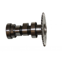 RMG SCOOTER 125 150 EKSANTRİK KAM MİLİ KOMPLE 