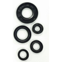  YAMAHA YBR 125 KEÇE TAKIMI KARTER KEÇE kod-YBR125182